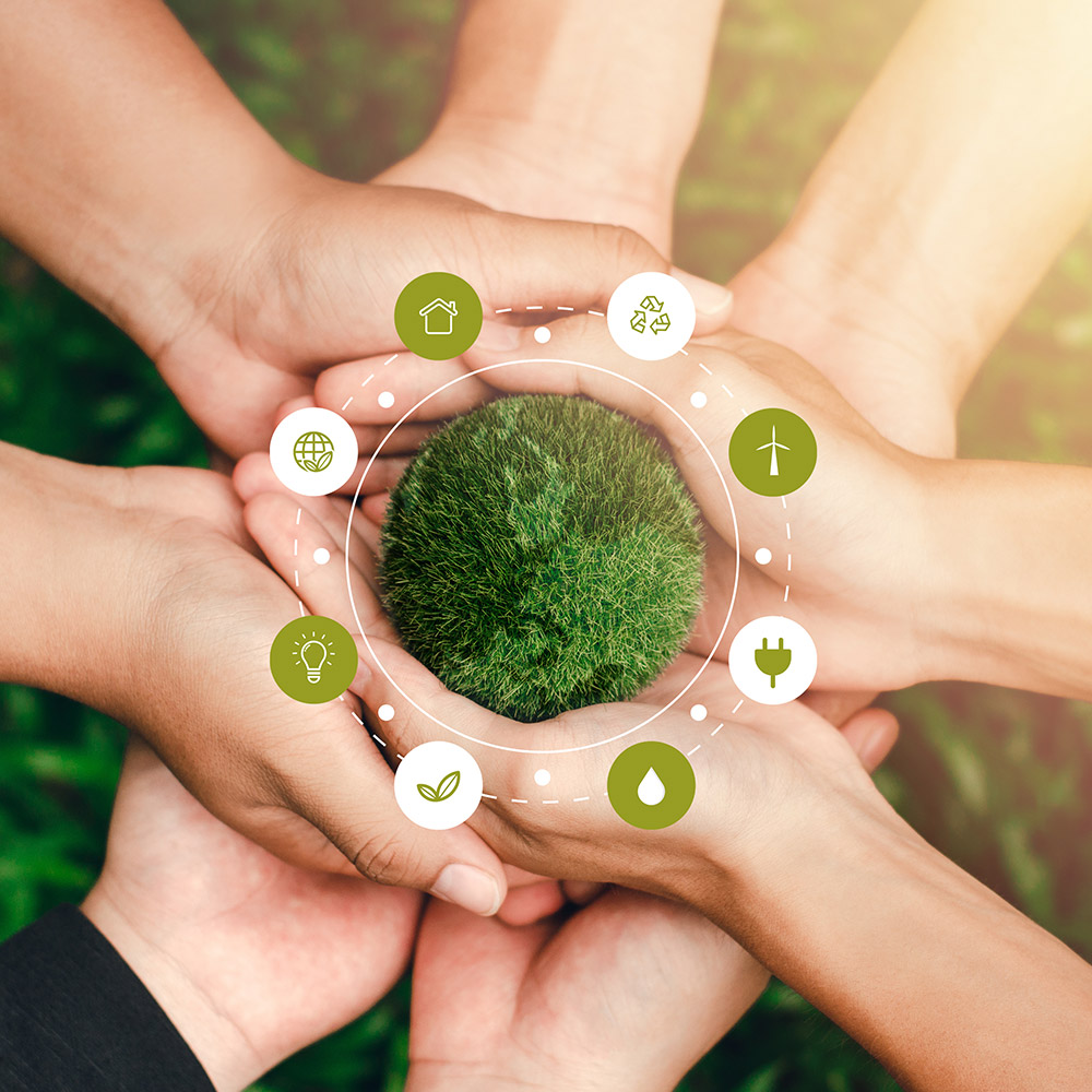 agro-connect-dipla-sas